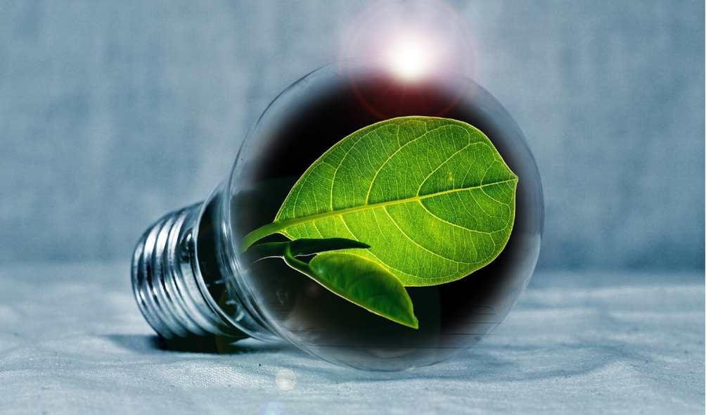 電力削減コンサルティング